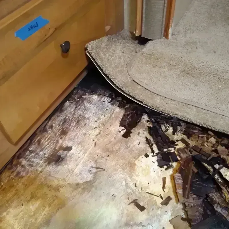 Wood Floor Water Damage in Northfield, IL